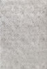 Dynamic Rugs Rori 9351 Grey Area Rug main image