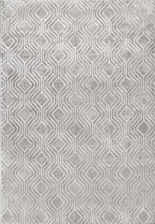 Dynamic Rugs Rori 9351 Grey Area Rug main image