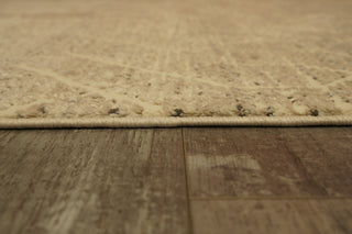 Dynamic Rugs Rori 9354 Ivory/Charcoal Area Rug Detail