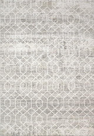 Dynamic Rugs Rori 9354 Ivory/Charcoal Area Rug main image