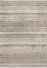 Dynamic Rugs Ruby 2182 Ivory/Taupe/Grey Area Rug main image