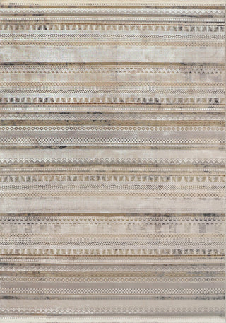 Dynamic Rugs Ruby 2182 Ivory/Taupe/Grey Area Rug main image