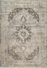 Dynamic Rugs Ruby 2185 Ivory/Grey/Gold Area Rug main image