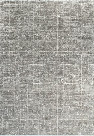 Dynamic Rugs Ruby 2188 Grey/Ivory Area Rug main image
