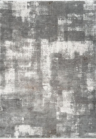Dynamic Rugs Ruby 2190 Grey/Ivory/Brown Area Rug main image