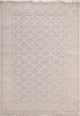 Dynamic Rugs Seville 3605 Ivory/Soft Grey Area Rug