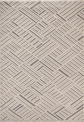 Dynamic Rugs Seville 3608 Ivory/Grey Area Rug