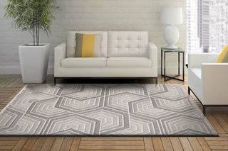 Dynamic Rugs Seville 3611 Ivory/Grey Area Rug