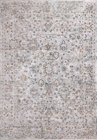 Dynamic Rugs Skyler 6713 Grey/Multi Area Rug