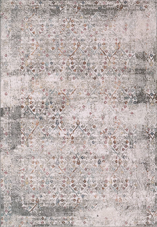 Dynamic Rugs Soma 6195 Grey/Multi Area Rug