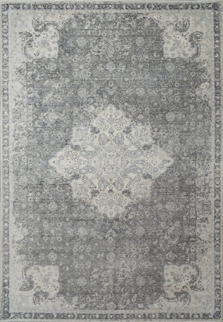 Dynamic Rugs Stefano 15703 Ivory/Grey Area Rug main image