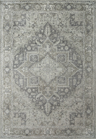 Dynamic Rugs Stefano 15706 Beige/Taupe/Grey Area Rug main image