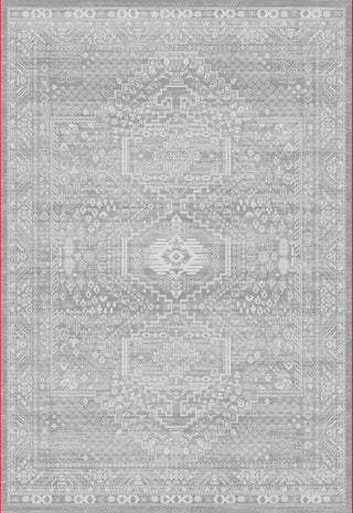 Dynamic Rugs Sterling 18844 Grey/Ivory Area Rug main image