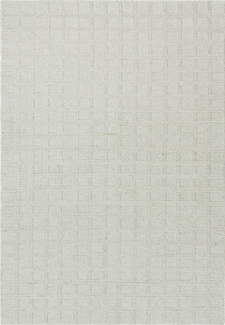 Dynamic Rugs Teak 12801 Ivory Area Rug main image