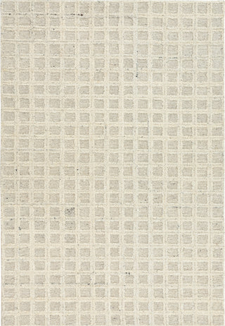 Dynamic Rugs Teak 12801 Cream Area Rug main image
