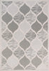 Dynamic Rugs Tessie 6402 Grey/Ivory Area Rug