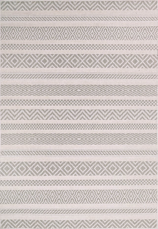 Dynamic Rugs Tessie 6410 Beige/Grey/Ivory Area Rug