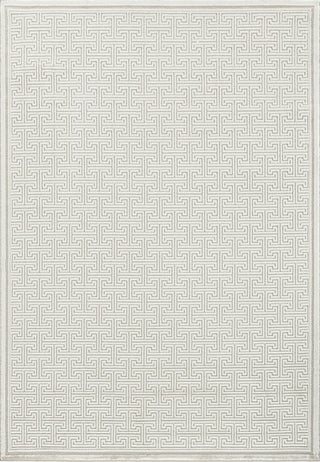 Dynamic Rugs Timeless 6922 Beige Area Rug main image