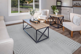 Dynamic Rugs Timeless 6923 Grey Area Rug Room Scene Feature