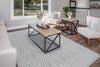 Dynamic Rugs Timeless 6925 Grey/Light Grey Area Rug Room Scene Feature