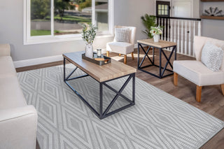 Dynamic Rugs Timeless 6925 Grey/Light Grey Area Rug Room Scene Feature