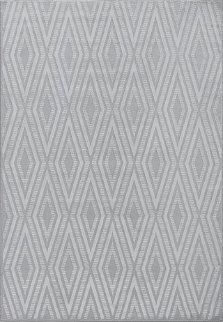 Dynamic Rugs Timeless 6925 Grey/Light Grey Area Rug main image