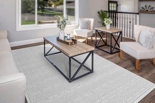 Dynamic Rugs Timeless 6930 Grey Area Rug Room Scene Feature