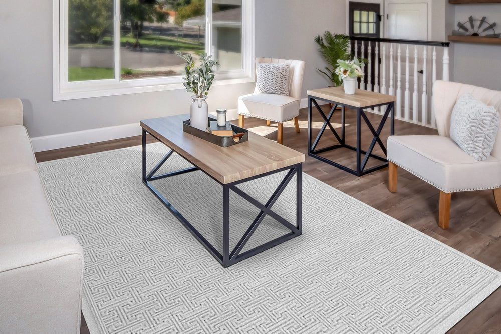 Dynamic Rugs Timeless 6930 Grey Area Rug Room Scene Feature