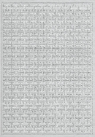 Dynamic Rugs Timeless 6930 Grey Area Rug main image