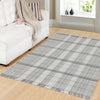 Dynamic Rugs Titus 5917 Grey/Silver Area Rug