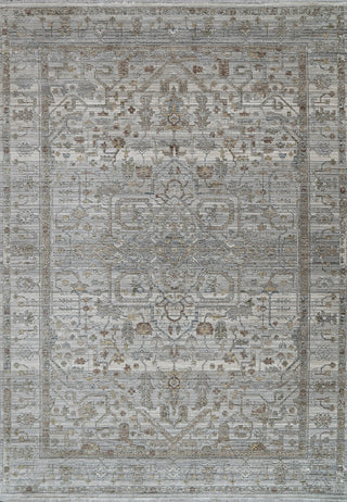 Dynamic Rugs Trevi 13250 Grey/Cream Area Rug main image