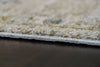 Dynamic Rugs Trevi 13251 Cream/Beige Area Rug Detail