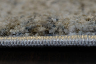 Dynamic Rugs Trevi 13253 Cream/Beige/Grey Area Rug Detail