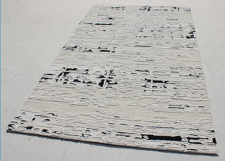 Dynamic Rugs Trono 5480 Black/White Area Rug Room Scene Feature