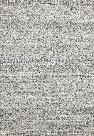 Dynamic Rugs Vigo 2046 Charcoal/Ivory Area Rug