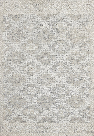 Dynamic Rugs Vigo 2047 Taupe/Ivory Area Rug