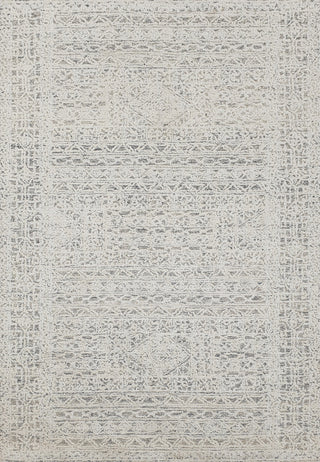 Dynamic Rugs Vigo 2048 Taupe/Charcoal/Ivory Area Rug