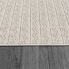Dynamic Rugs Vuna 14955 Ivory/Grey Area Rug Detail