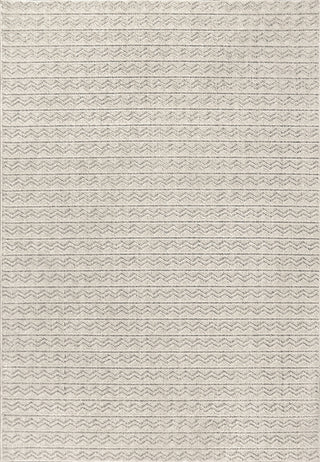 Dynamic Rugs Vuna 14955 Ivory/Grey Area Rug main image