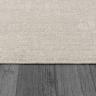 Dynamic Rugs Vuna 14956 Ivory Area Rug Detail