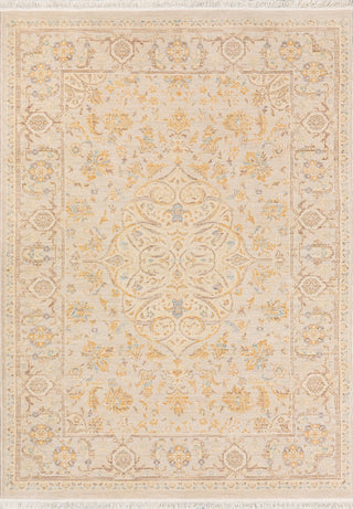 Dynamic Rugs Wade 18600 Grey/Brown/Multi Area Rug main image