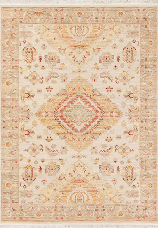 Dynamic Rugs Wade 18602 Taupe/Rust/Multi Area Rug main image