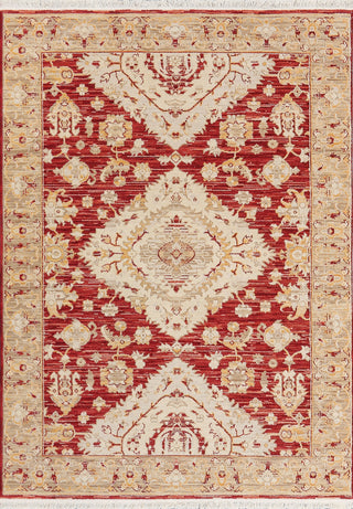 Dynamic Rugs Wade 18606 Red/Beige/Multi Area Rug main image