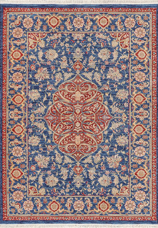 Dynamic Rugs Wade 18607 Navy/Red/Multi Area Rug main image