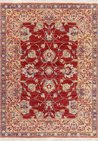 Dynamic Rugs Wade 18608 Red/Multi Area Rug main image