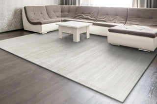 Dynamic Rugs Whistler 7121 Ivory/Grey Area Rug Room Scene Feature