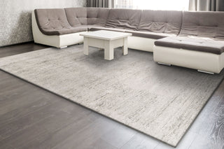 Dynamic Rugs Whistler 7122 Ivory/Grey Area Rug Room Scene Feature