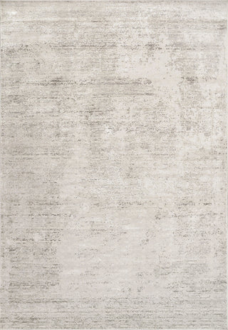 Dynamic Rugs Whistler 7122 Ivory/Grey Area Rug main image