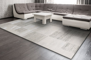 Dynamic Rugs Whistler 7123 Grey/Ivory Area Rug Room Scene Feature