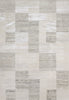 Dynamic Rugs Whistler 7123 Grey/Ivory Area Rug main image